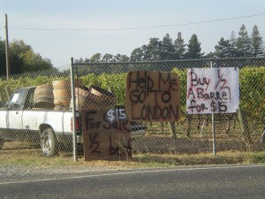 Roadside sale in Napa, CA