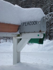 The Peacock winter mailbox