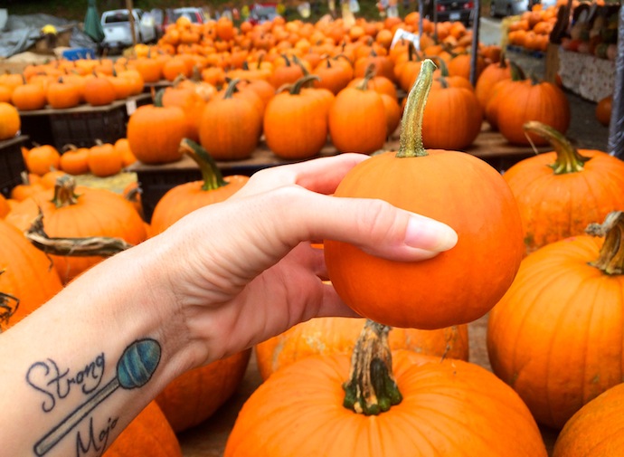 Pumpkin patch fun