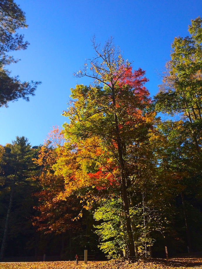 Camping in West Virginia