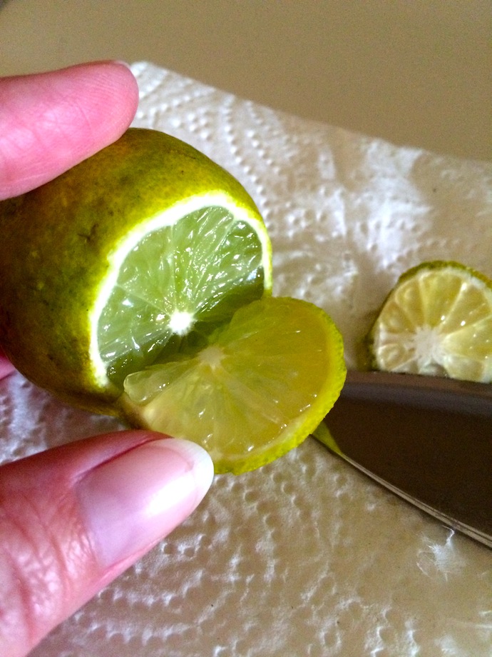 Florida citrus