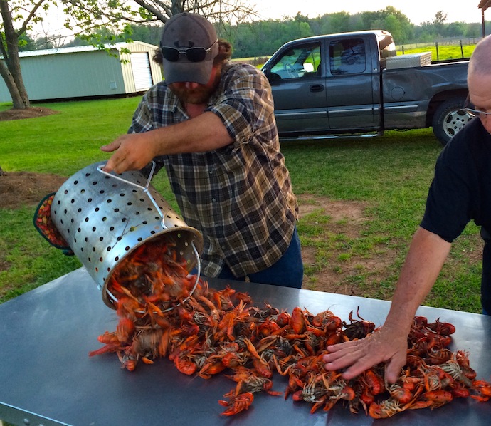 Bayou Feast